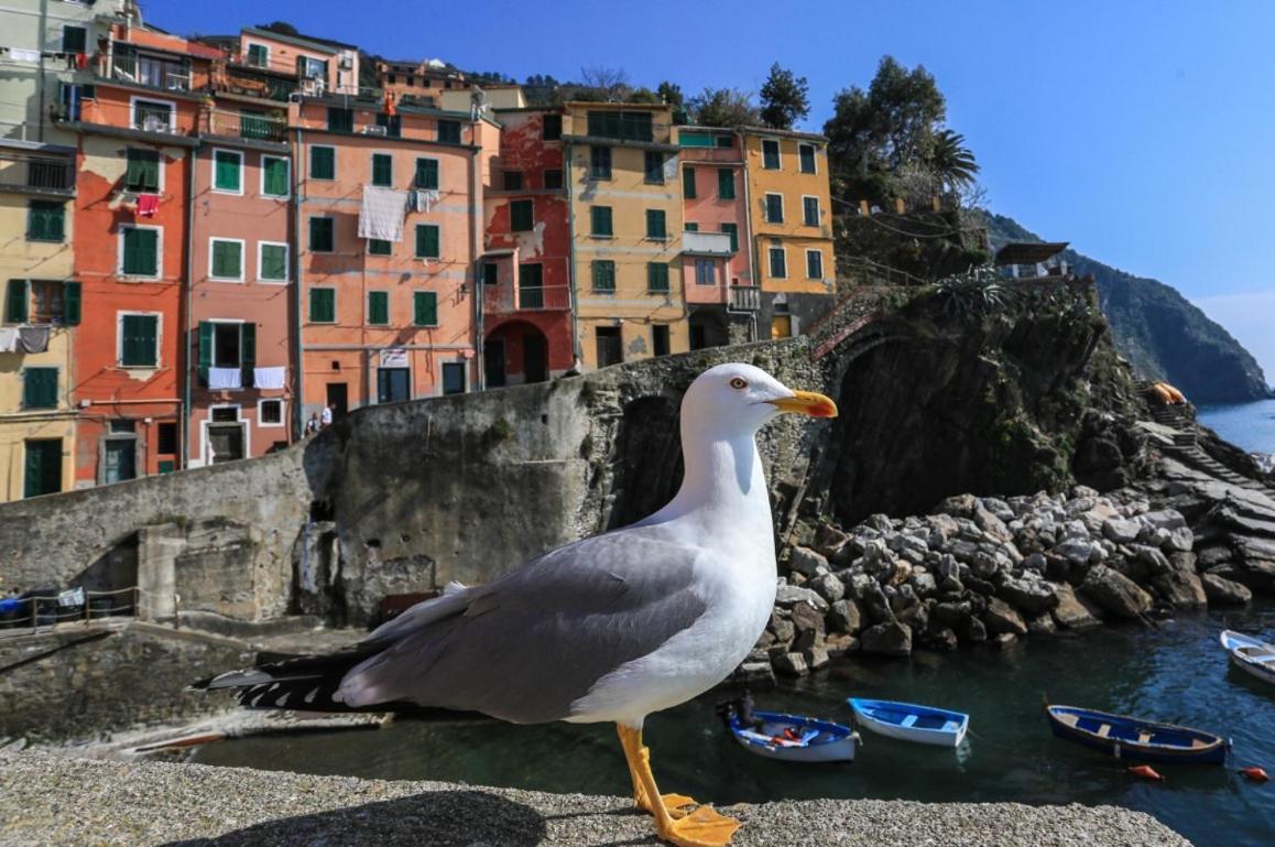Terra Prime Suite Riomaggiore Exterior photo